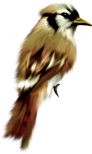 őszi állatok_114.png